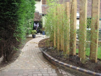 Bamboo_and_Wood-934609-edited.jpg