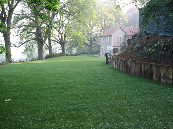 Lawn