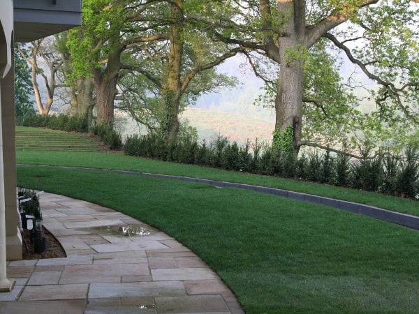 Shaped Lawn, Path & Water Feature